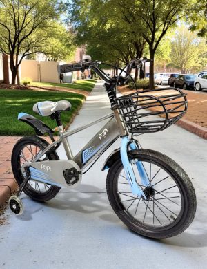 Bicicleta Niño Bebe De 4 A 8 Años Juguete Bebe Rin #16 PUPPI GRIS - Imagen 3